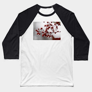 Nandina domestica Baseball T-Shirt